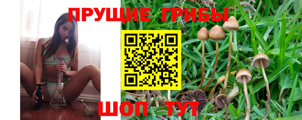 Галлюциногенные грибы MAGIC MUSHROOMS  Вход с VPN  Павловский Посад  Галлюциногенные грибы GOLDEN TEACHER 